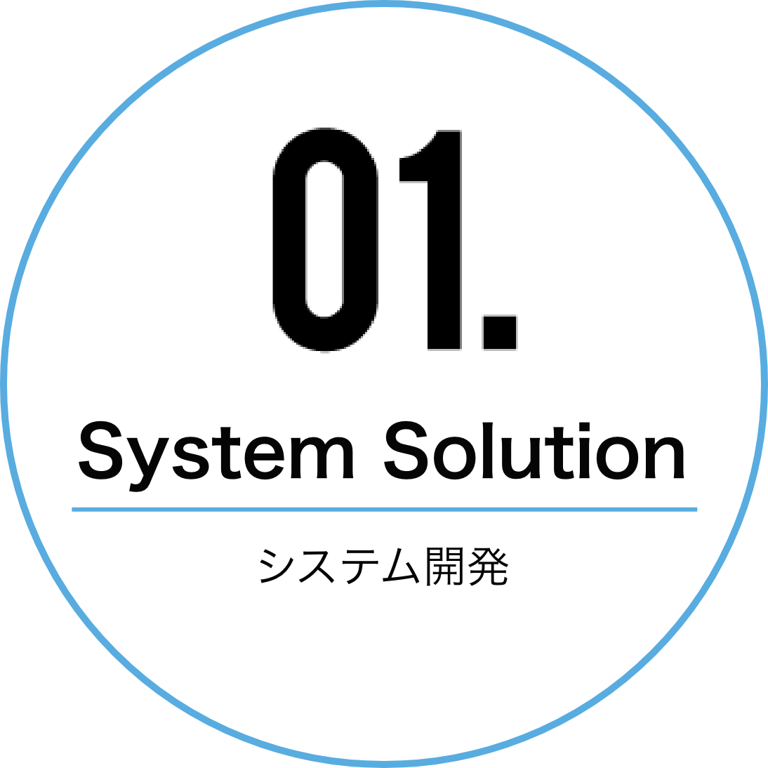 system solution